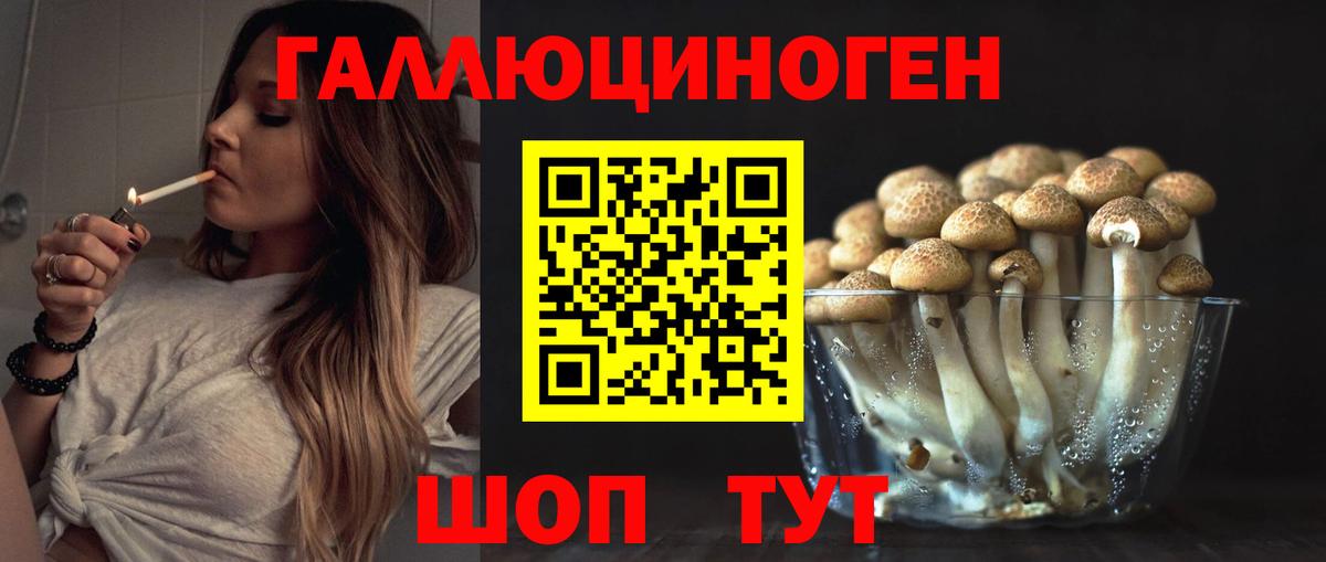 Галлюциногенные грибы Psilocybine cubensis  Псилоцибиновые грибы GOLDEN TEACHER  Вход с VPN  Спасск-Дальний 